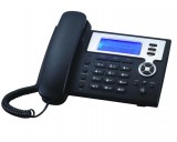 VoIP IP900B